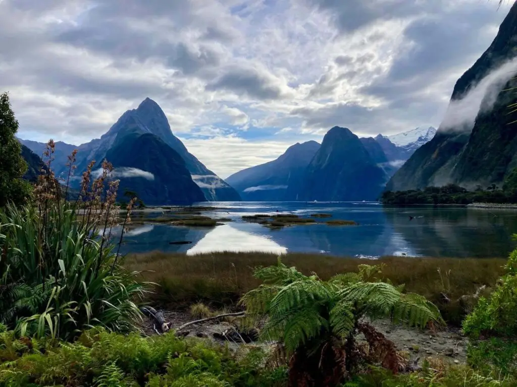 La vue sur l'eau à Milford Sound en Nouvelle-Zélande