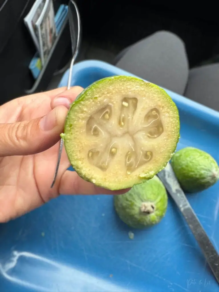 Un feijoa de Nouvelle-Zélande