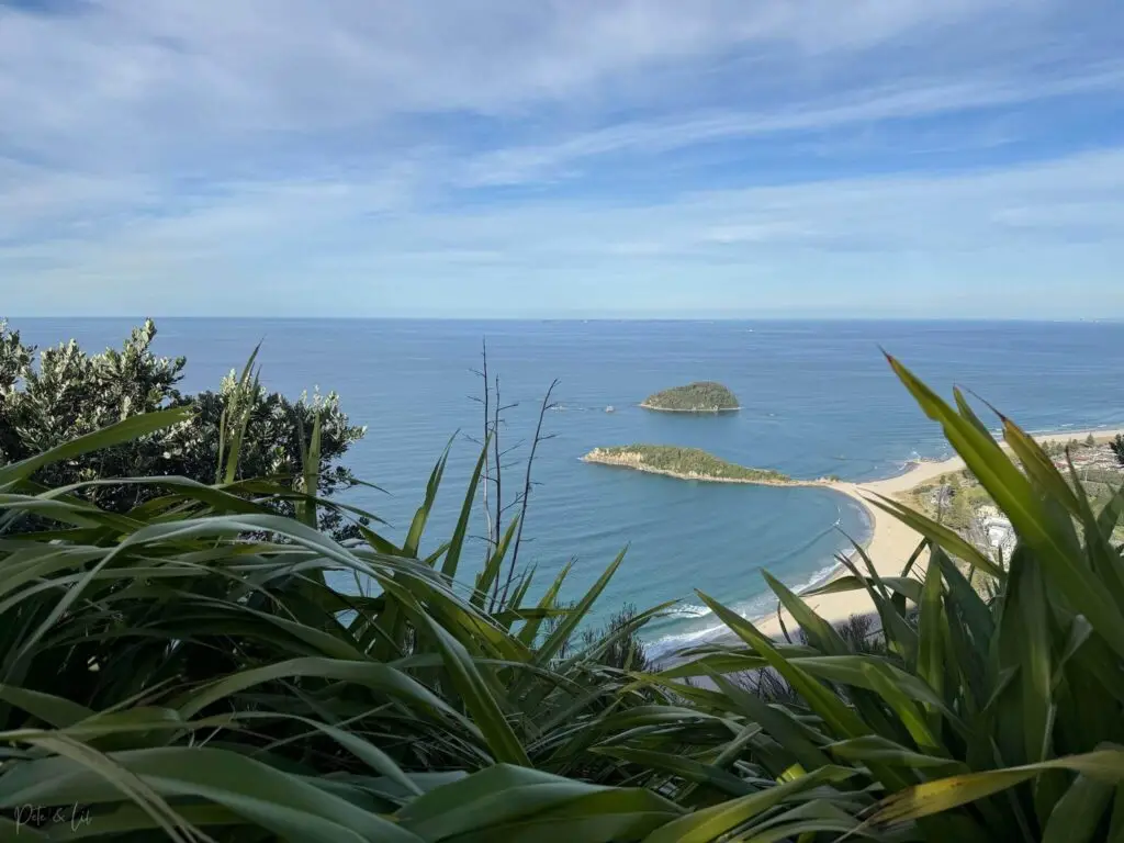 La vue à partir du sommet du mont Maunganui en Nouvelle-Zélande