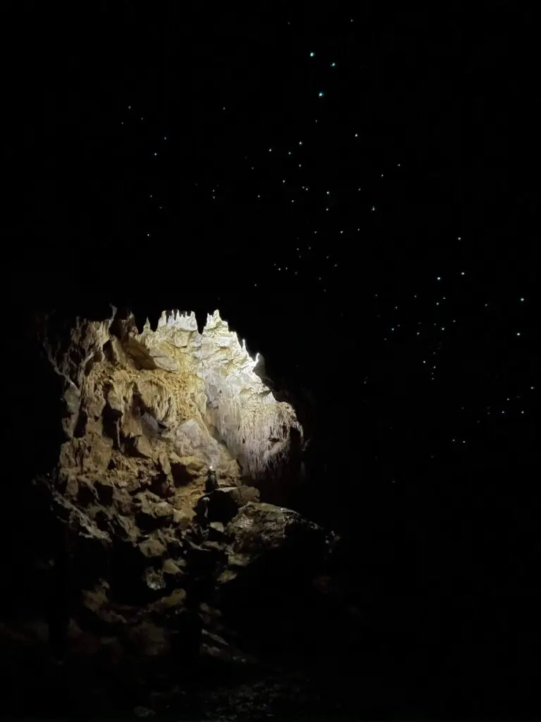 Des grottes avec des Glow Worms à Waipu Caves en Nouvelle-Zélande