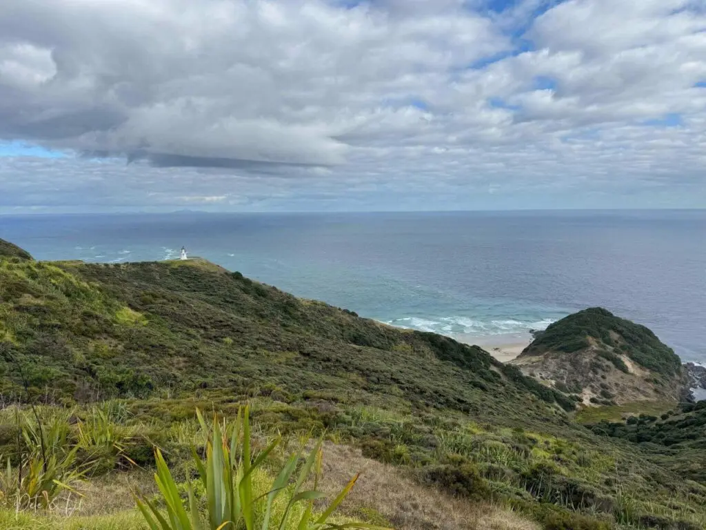 Le point de rencontre de la mer de Tasman et de l'océan Pacifique