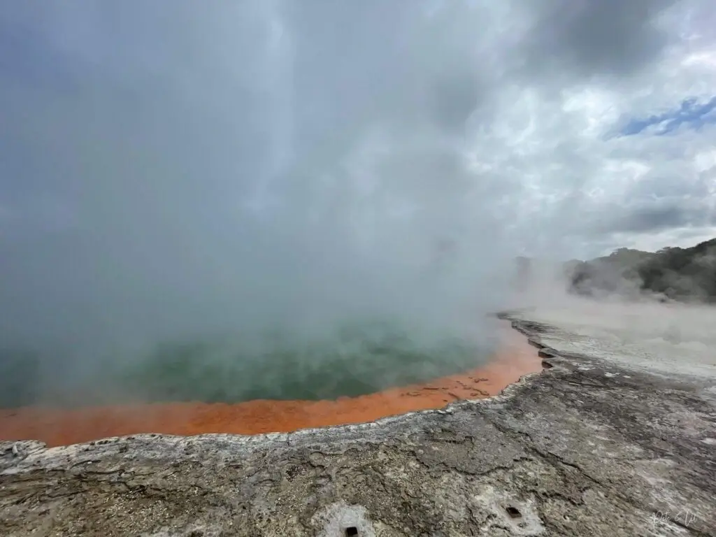 De la fumée qui s'élève d'un lac à Rotorua sur l'île du Nord de la Nouvelle-Zélande