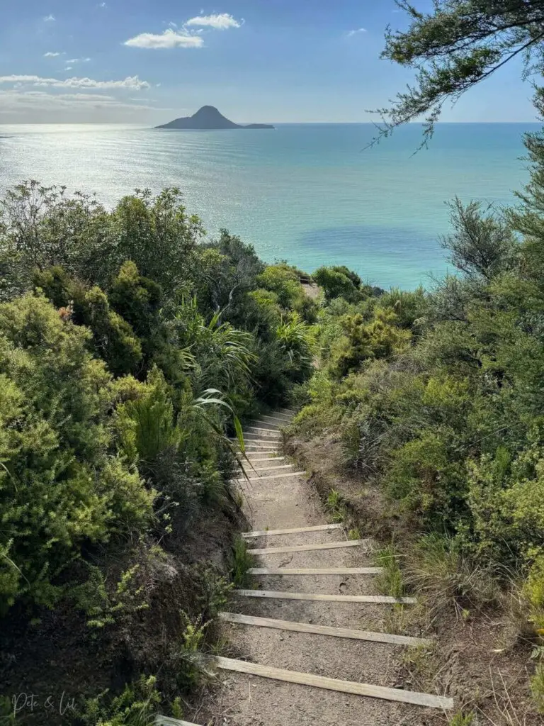 La vue à partir d'un sentier de randonnée à Whakatane en Nouvelle-Zélande