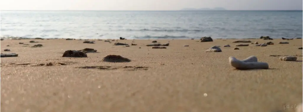 Vue sur le sable et la mer depuis le sol, illustrant la pratique du moment présent en voyage