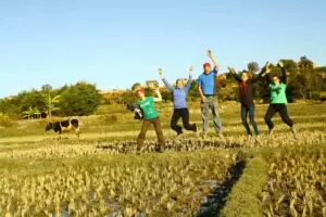 Choc culturel et voyageurs dans une rizière