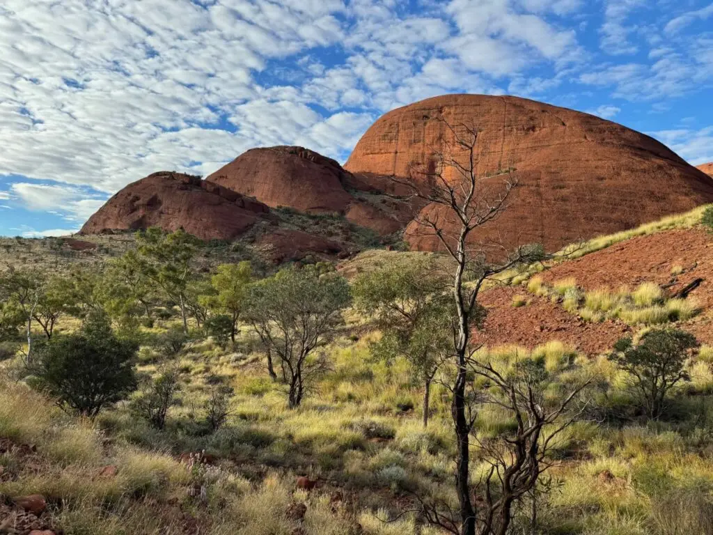Randonnée à travers les dômes de Kata Tjuta