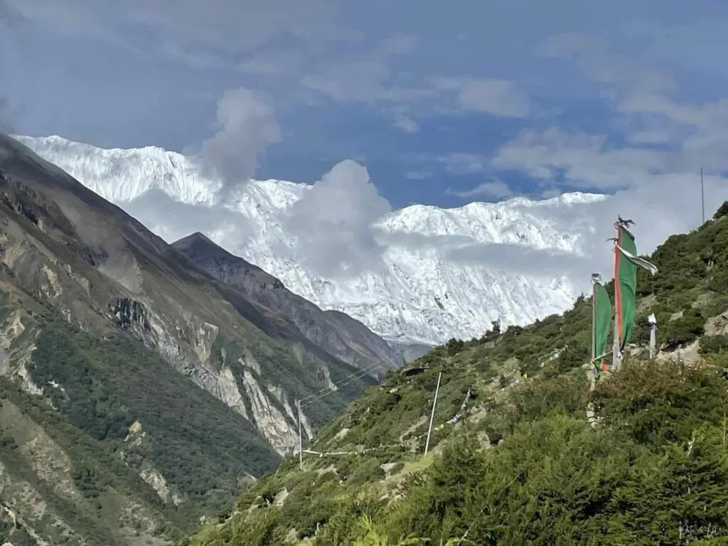 Vue sur le glacier de la Grande Barrière