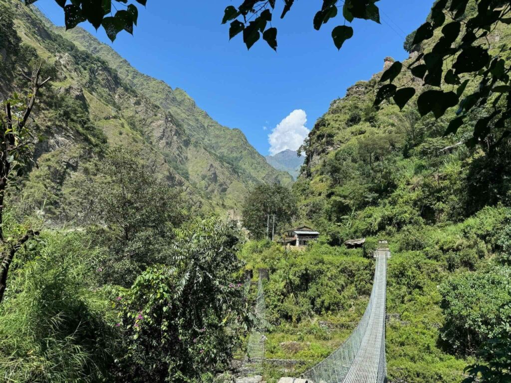 Pont suspendu entouré de végétation luxuriante avec montagnes