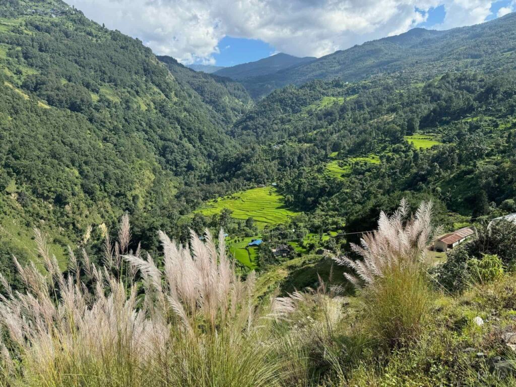 Vallée verdoyante avec rizières en terrasses et montagnes