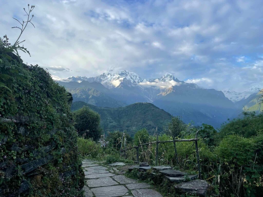 Sentier de trek avec sommets enneigés en arrière-plan